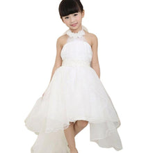 summer baby girl dress kid Knee-Length dress Flower Pageant Wedding Bridesmaid Tutu infant princess sleeveless o ncek clothing